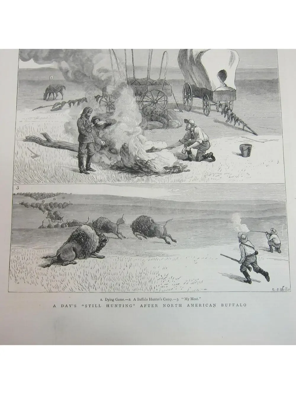 Antique 1877 Print A Days Still Hunting After North American Buffalo The Graphic